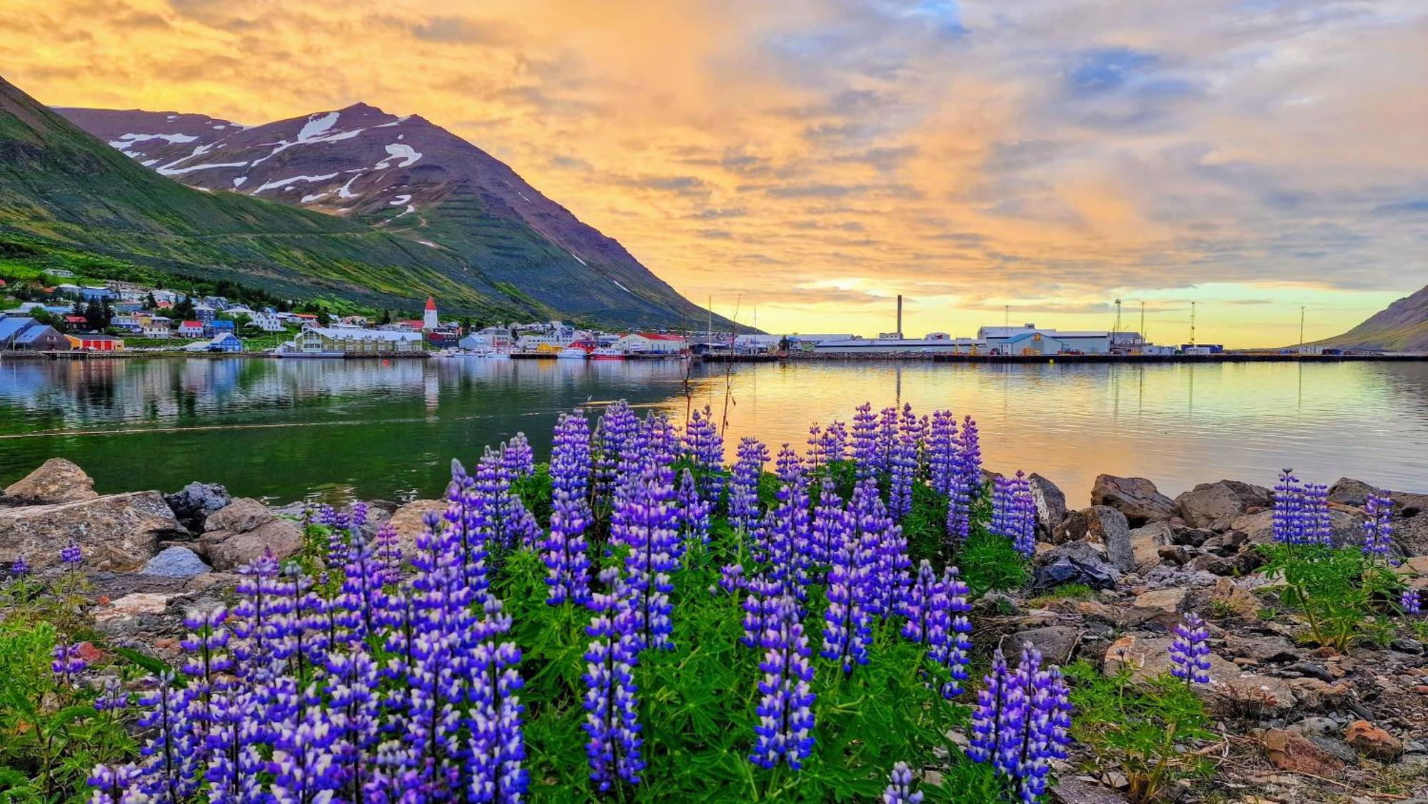 Landakot The Perfect Getaway By Staynorth Siglufjordur Exteriér fotografie